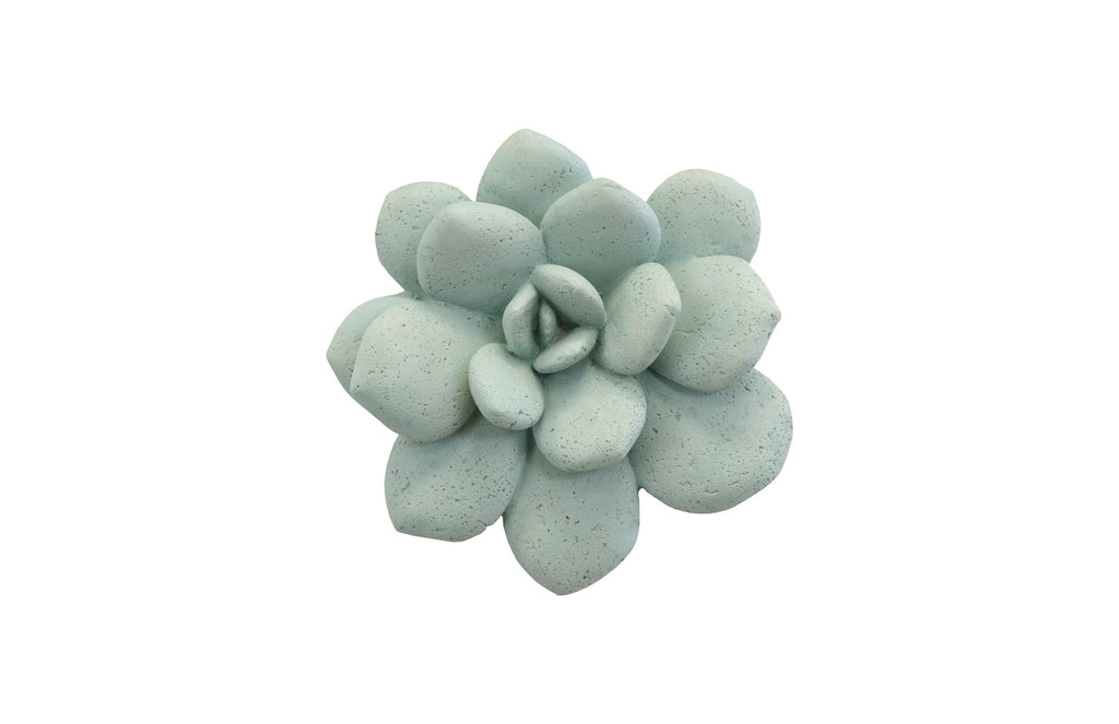 Laui Succulent Wall Art, Sage | Phillips Collection - PH104151