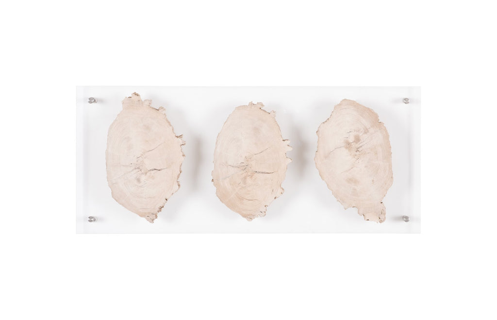 Floating Petrified Triple Slice Wall Art | Phillips Collection - ID100873