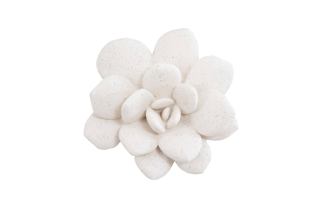 Laui Succulent Wall Art, White Stone | Phillips Collection - PH104150