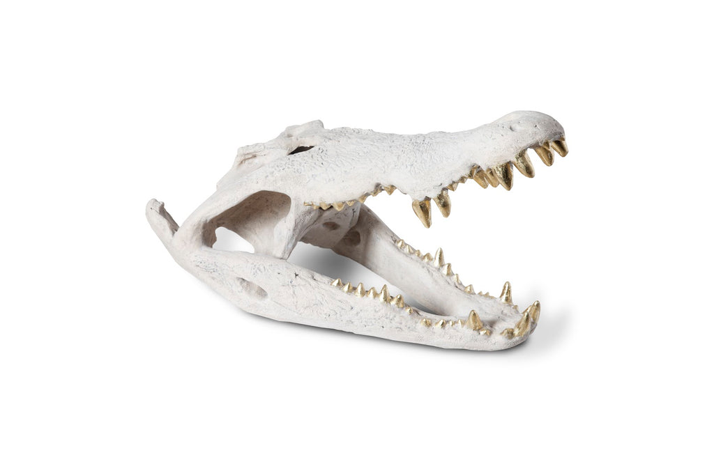 Crocodile Skull, Roman Stone, Gold Leaf | Phillips Collection - PH56708