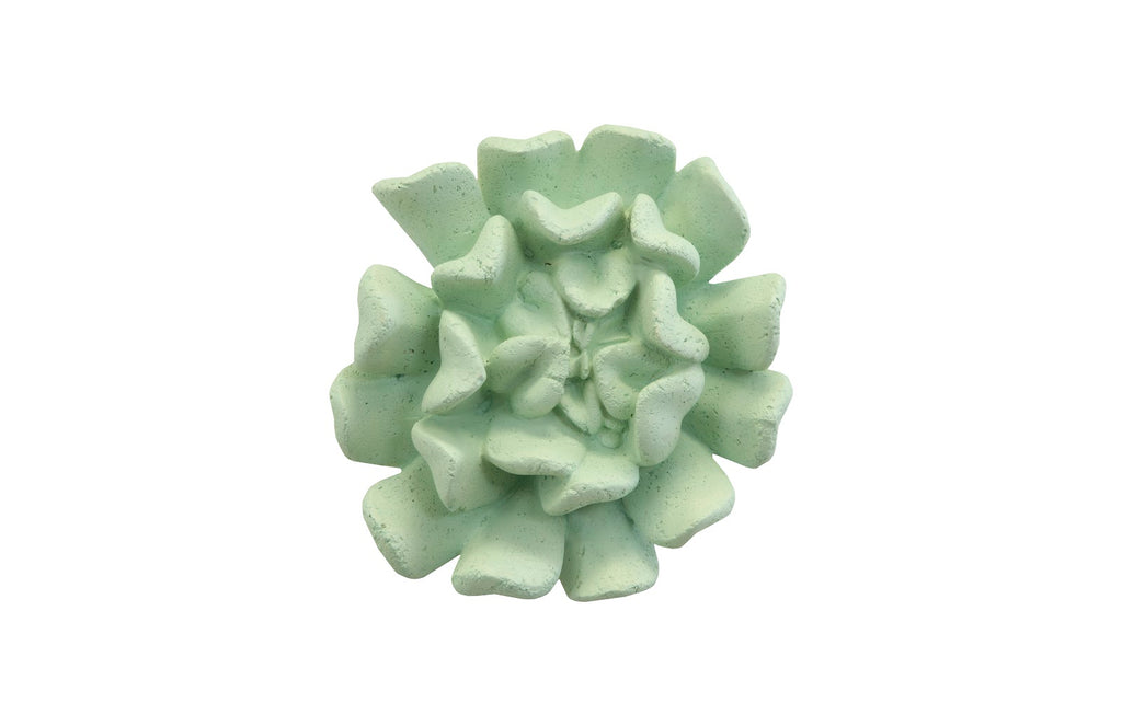 Topsy Turvy Succulent Wall Art, Jade | Phillips Collection - PH104153