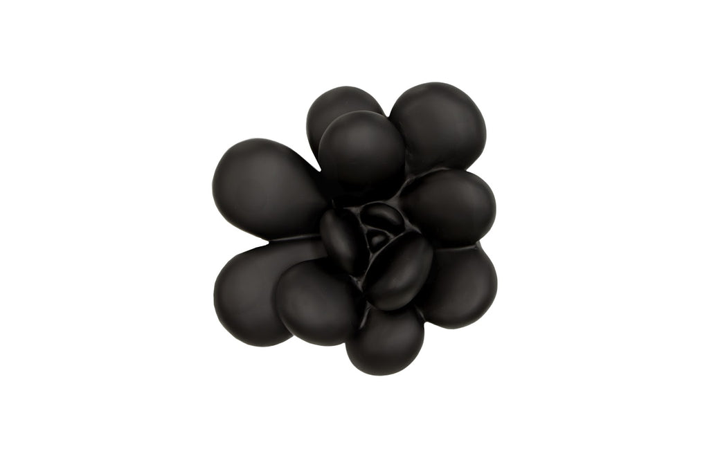 Oviferum Succulent Wall Art, Smooth Matte Black | Phillips Collection - PH111558