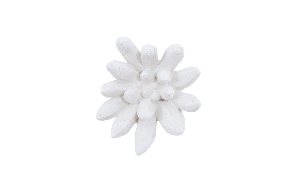 Compactum Succulent Wall Art, White Stone | Phillips Collection - PH104156