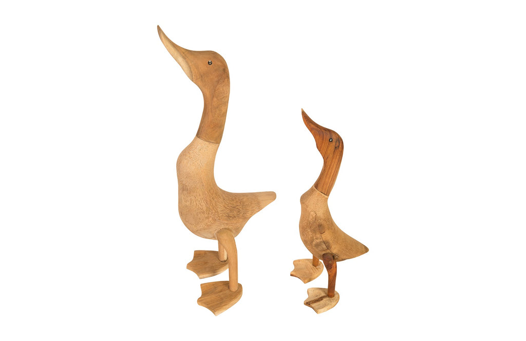 Wood Duck, Set Of 2 | Phillips Collection - ID65149