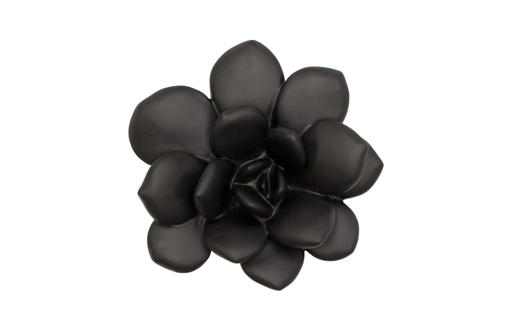 Laui Succulent Wall Art, Smooth Matte Black | Phillips Collection - PH111559