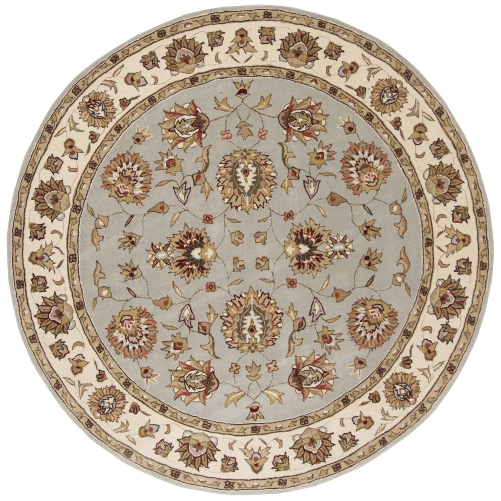 Safavieh Total Performance 416 Rug, TLP416