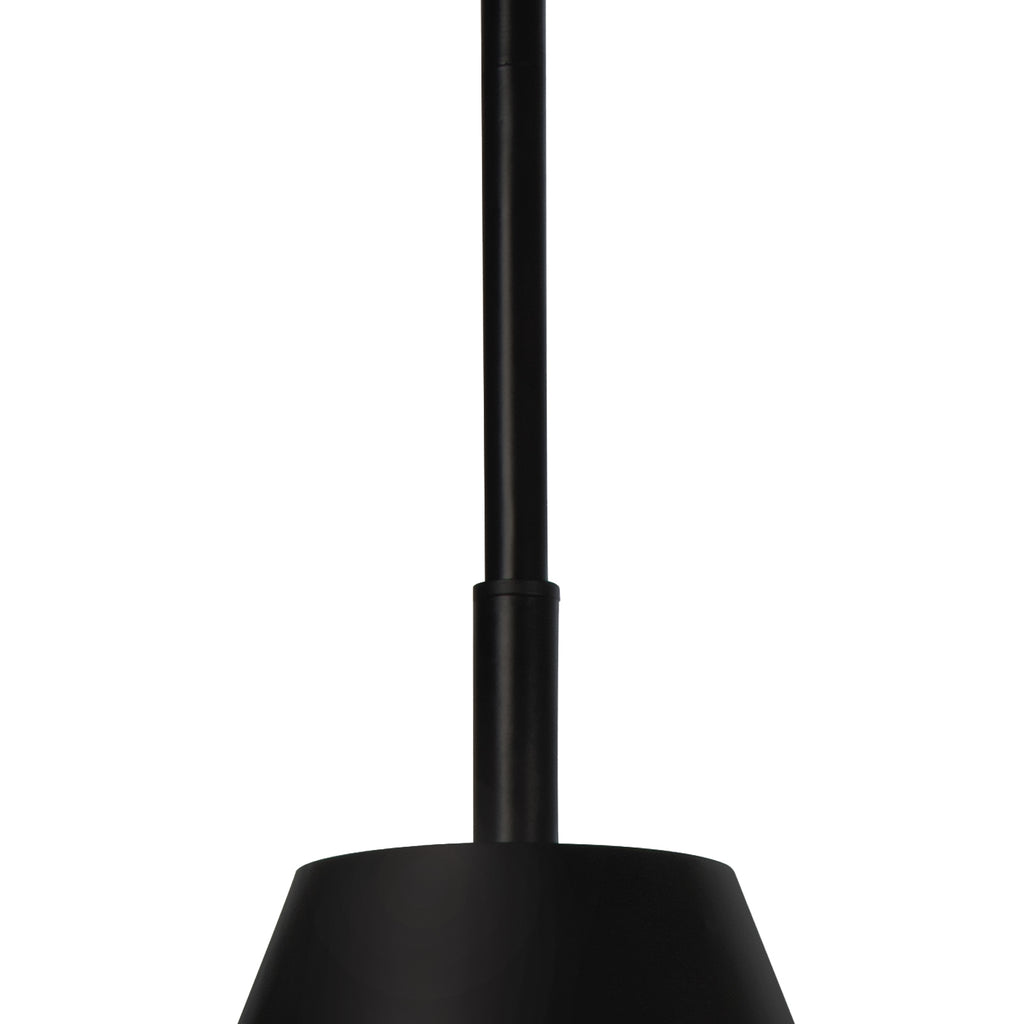 Regina Andrew Bluff Outdoor Pendant (Black)