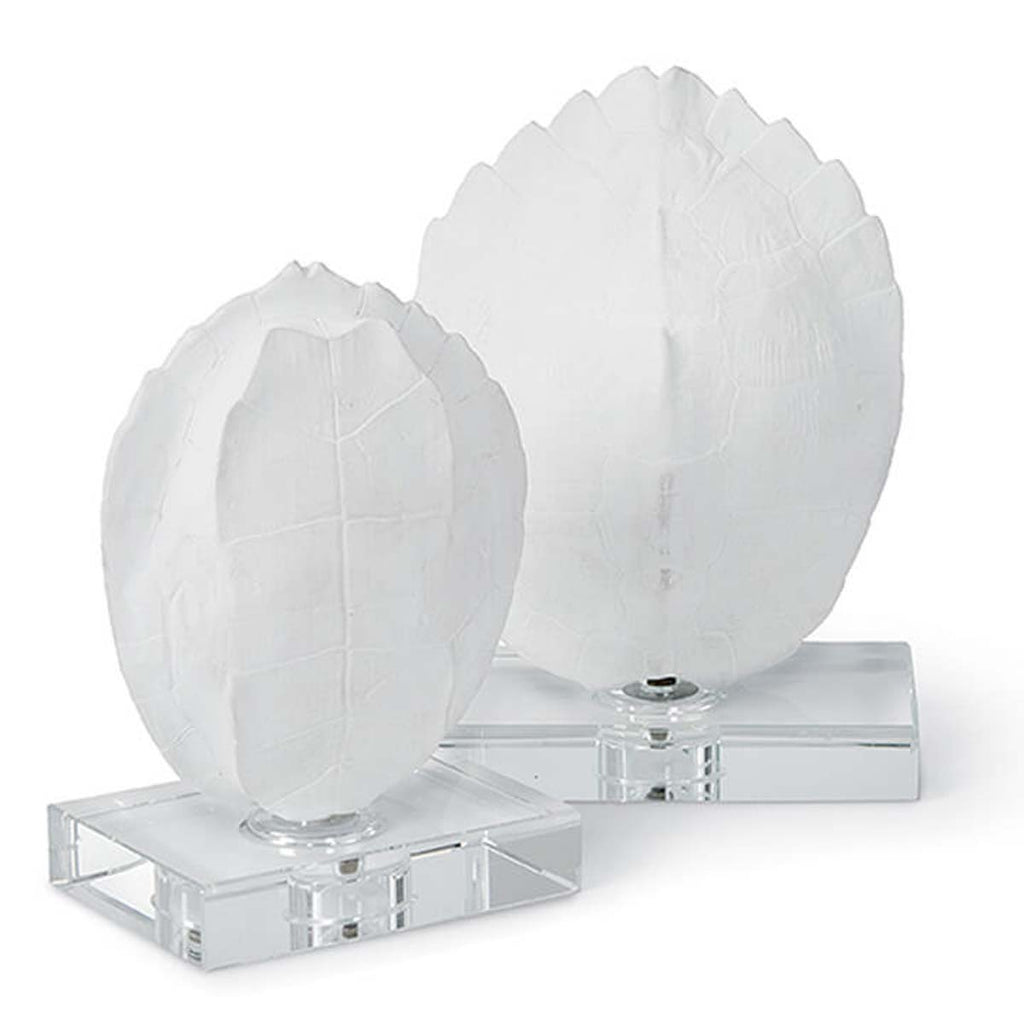 Regina Andrew Turtle Shells On Crystal (Set of 2) Small