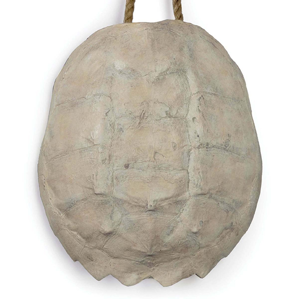 Regina Andrew Turtle Shell Accessory (Bleached)