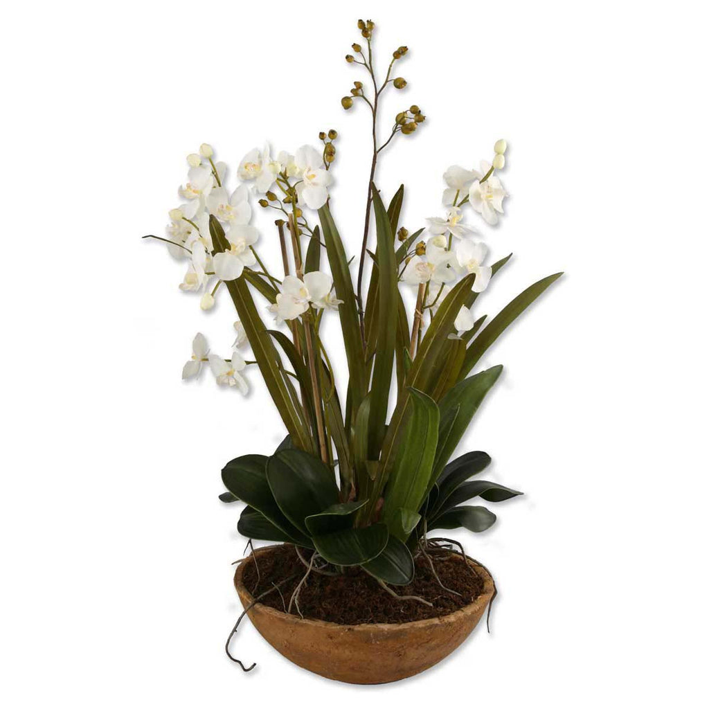 Uttermost Moth Orchid Planter