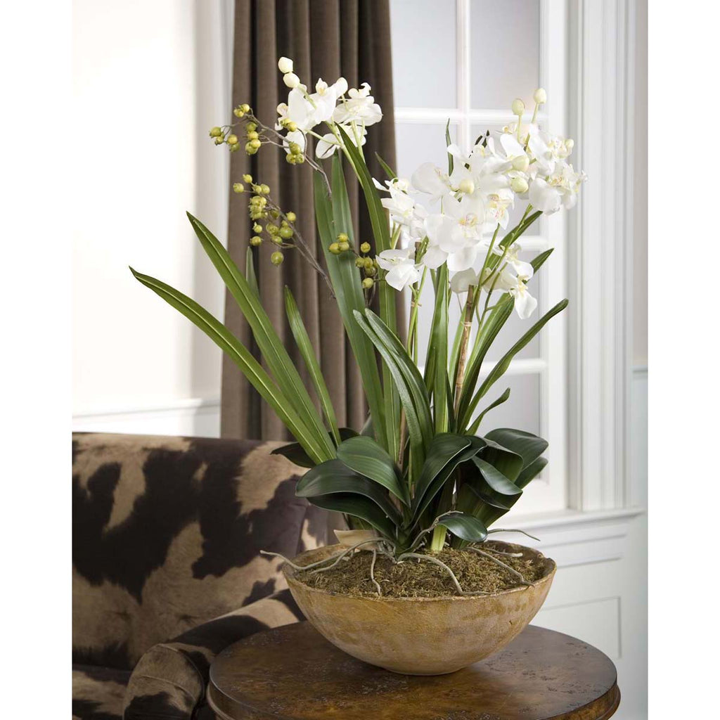 Uttermost Moth Orchid Planter