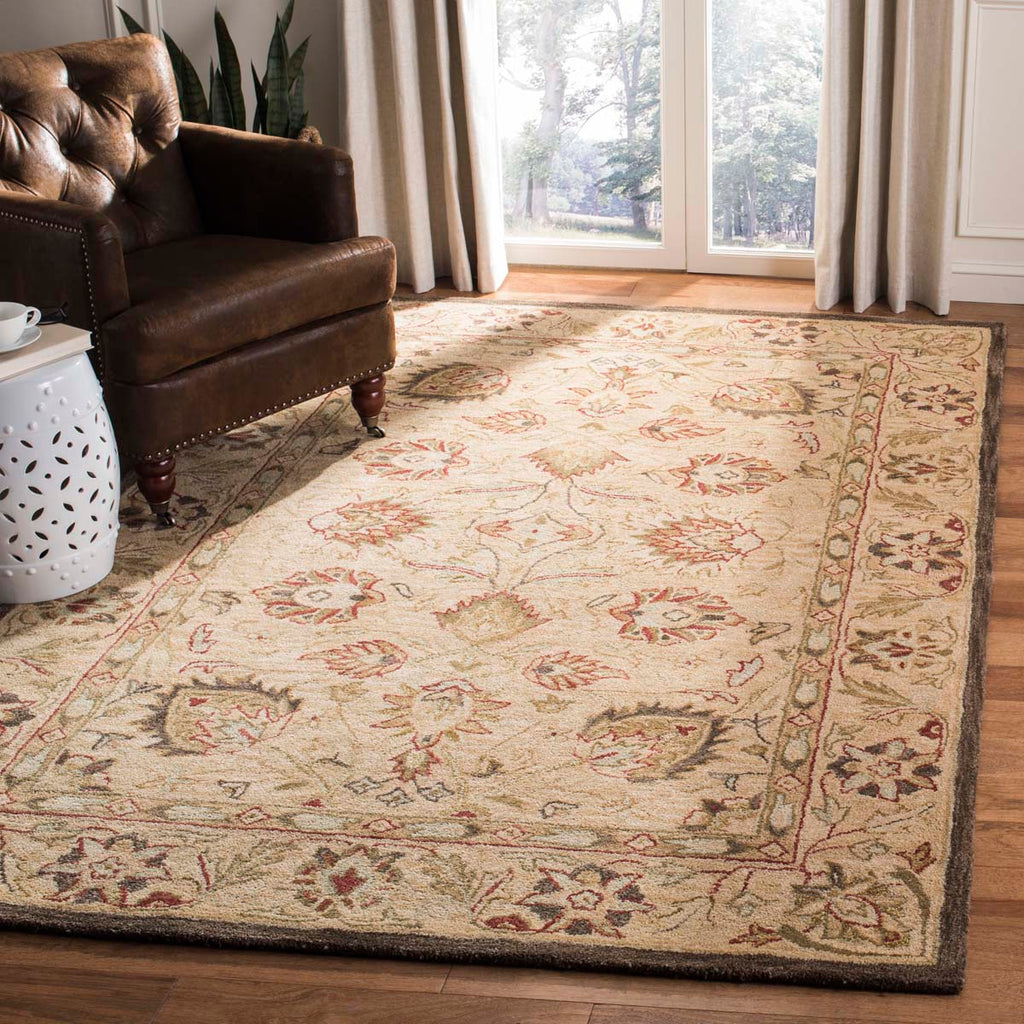 Safavieh Anatolia Rug Collection AN512A - Beige / Beige