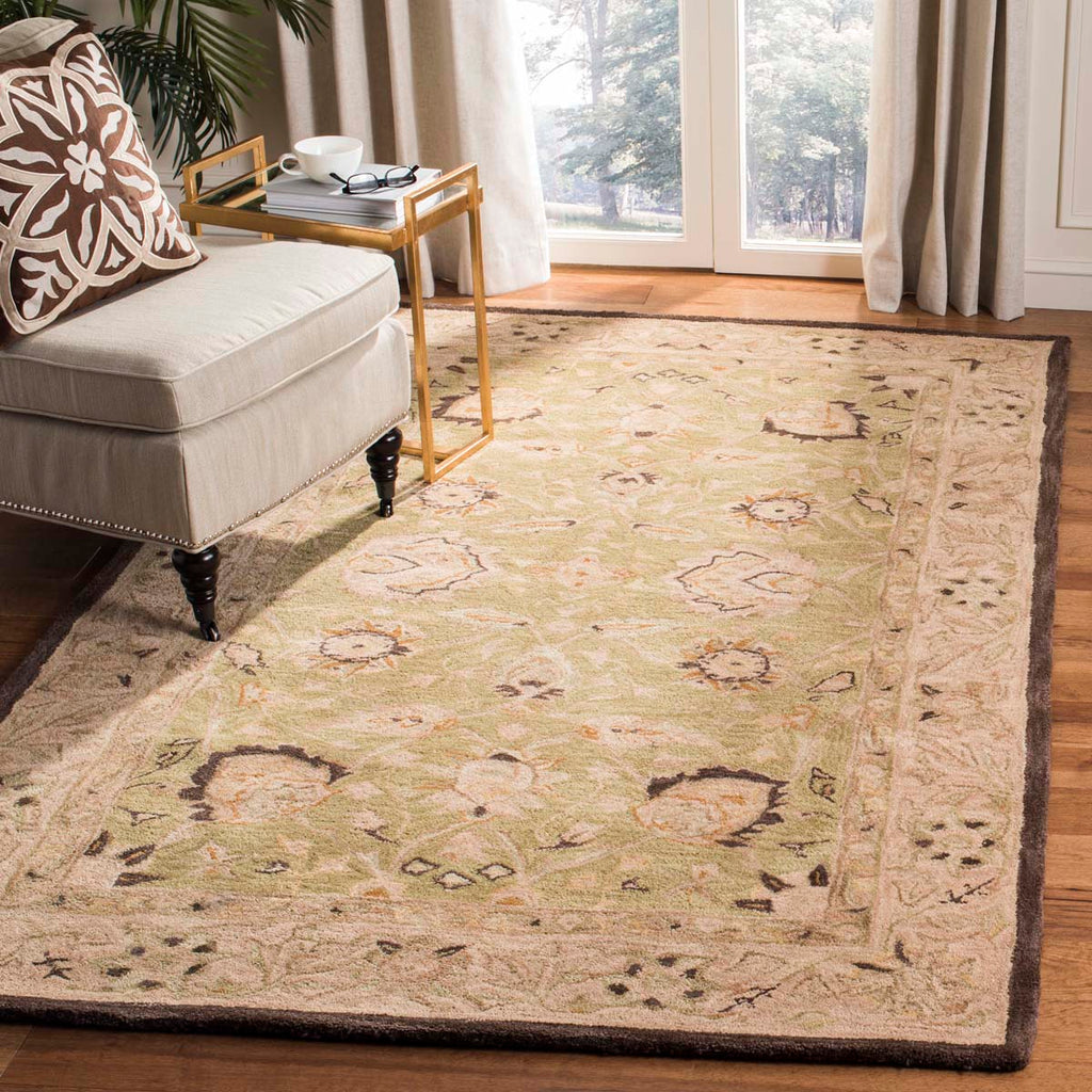 Safavieh Anatolia Rug Collection AN512C - Sage / Beige