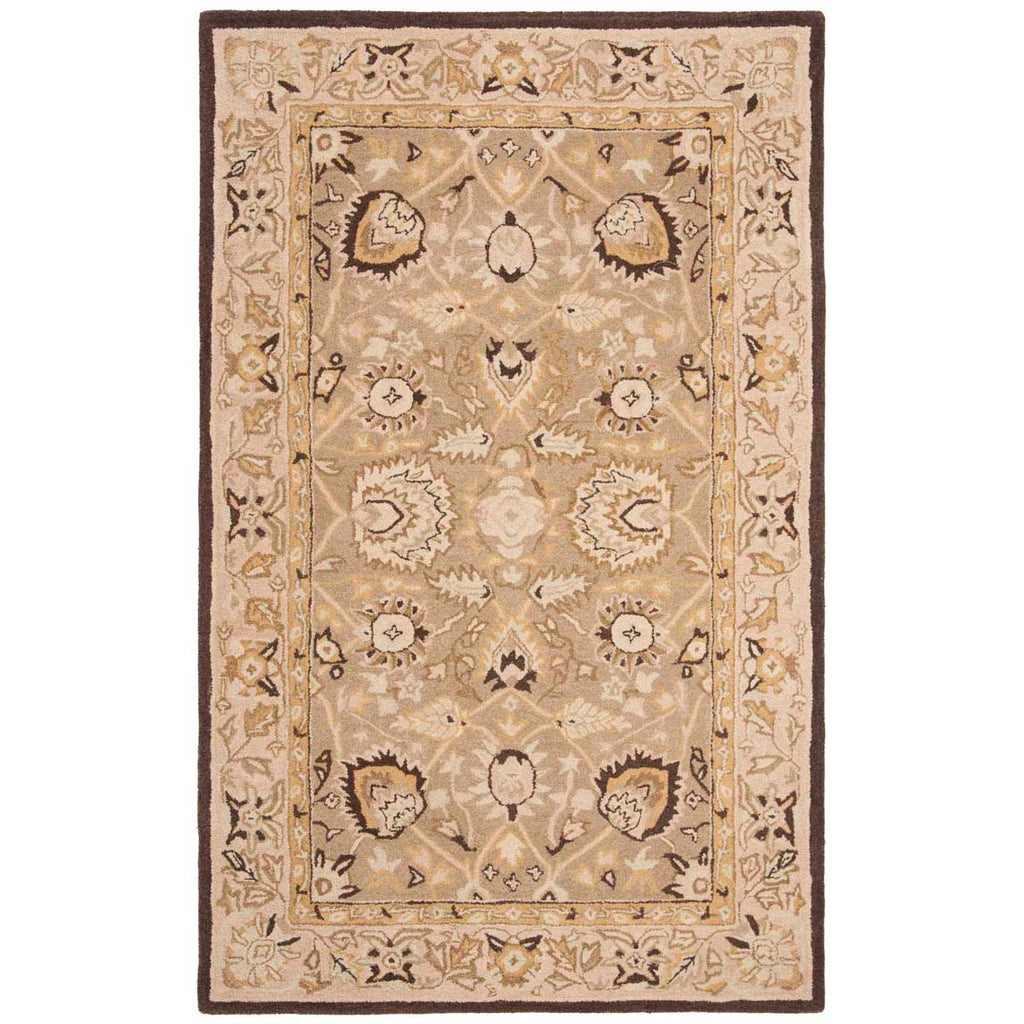 Safavieh Anatolia Rug Collection AN512C - Sage / Beige