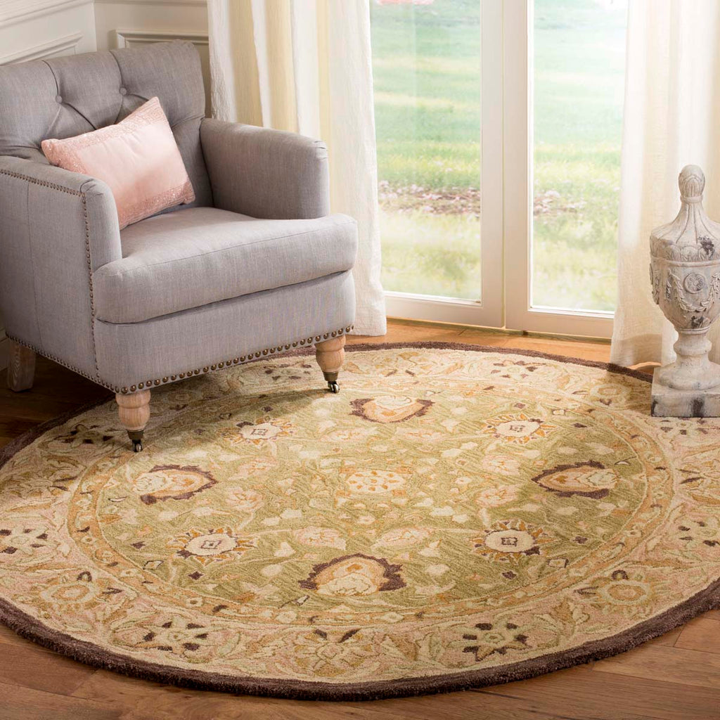 Safavieh Anatolia Rug Collection AN512C - Sage / Beige