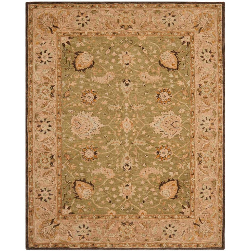 Safavieh Anatolia Rug Collection AN512C - Sage / Beige