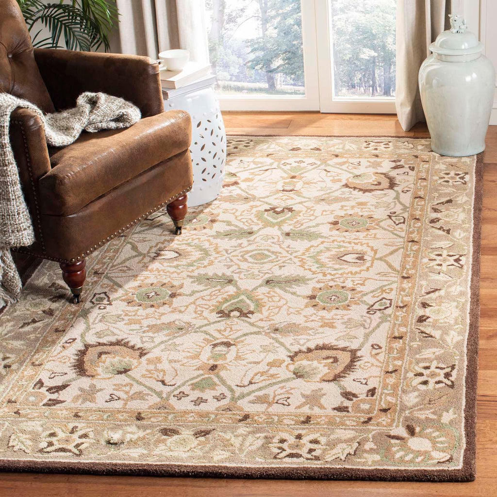 Safavieh Anatolia Rug Collection AN512D - Ivory / Brown