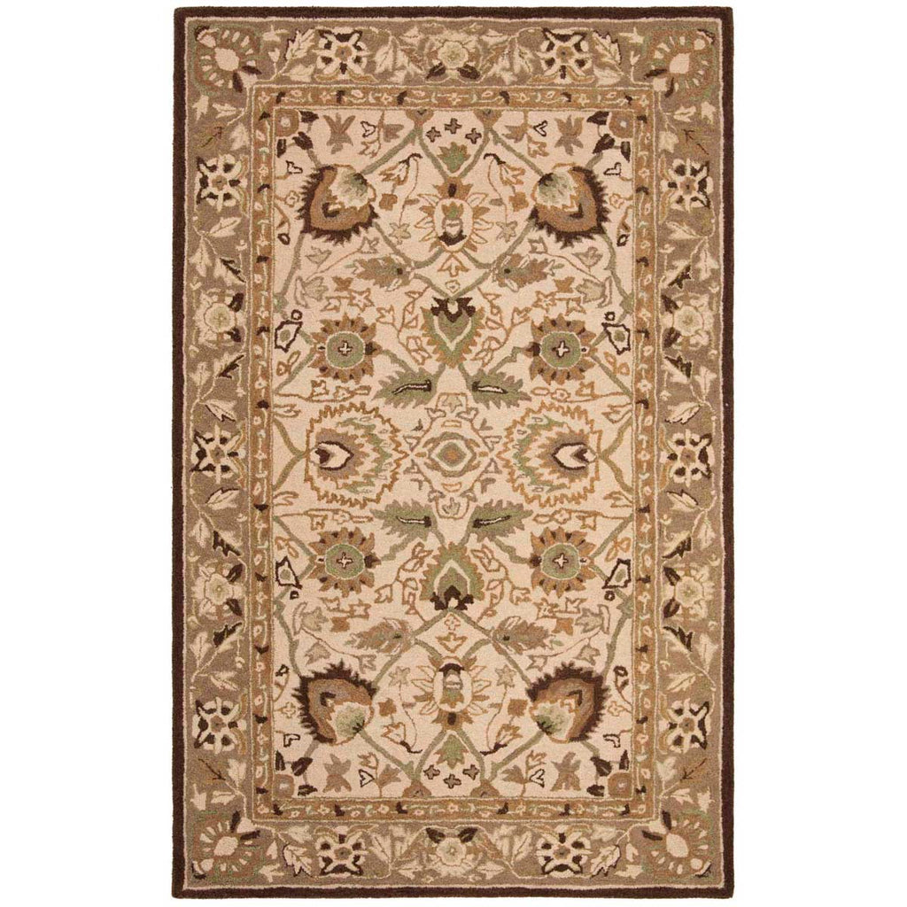 Safavieh Anatolia Rug Collection AN512D - Ivory / Brown