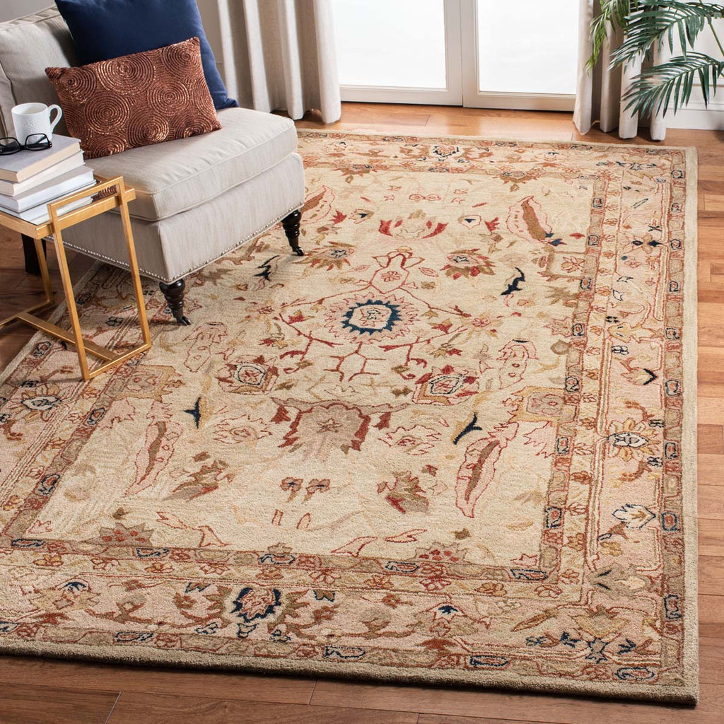 Safavieh Anatolia Rug Collection AN514A - Ivory / Beige