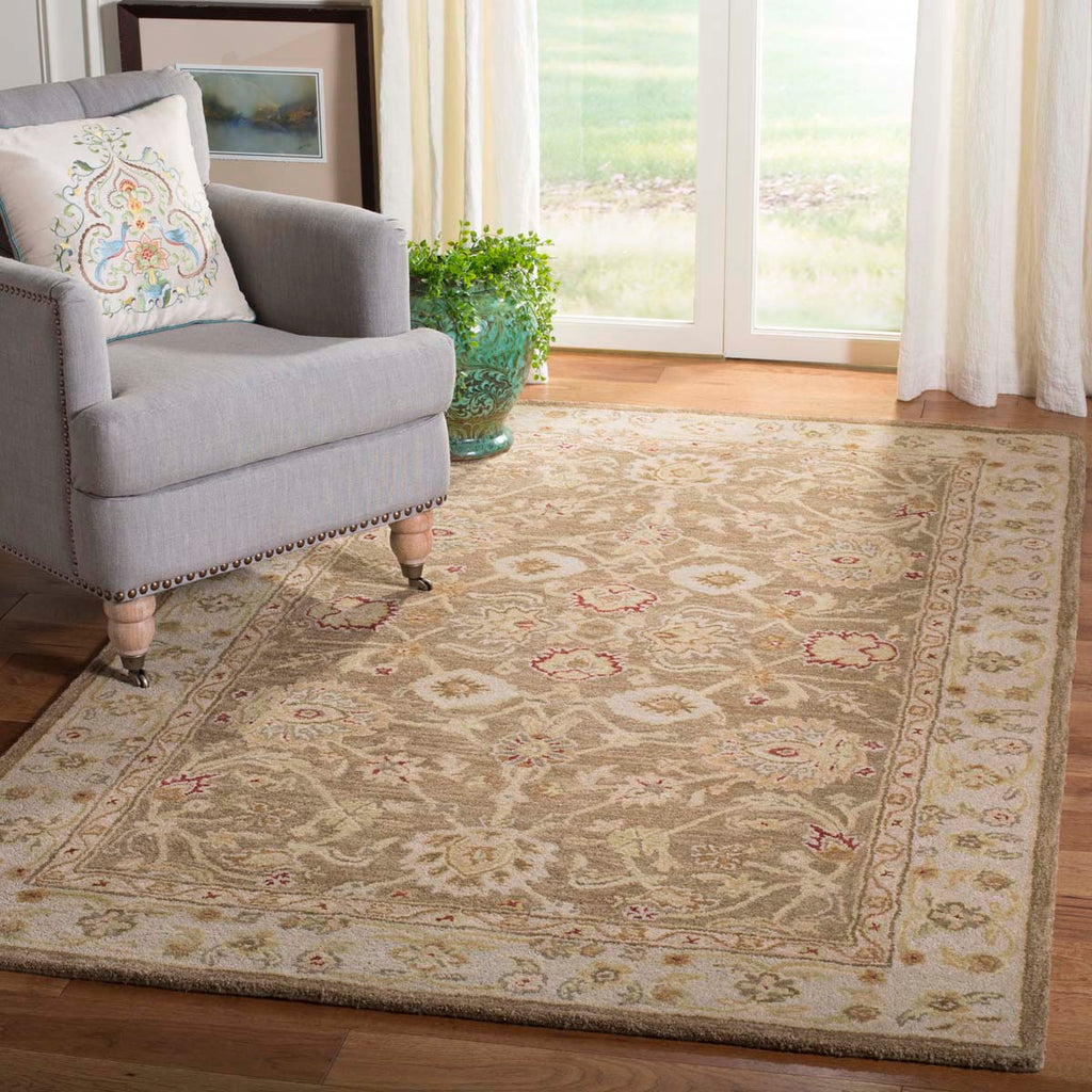 Safavieh Anatolia Rug Collection AN522B - Tan / Ivory