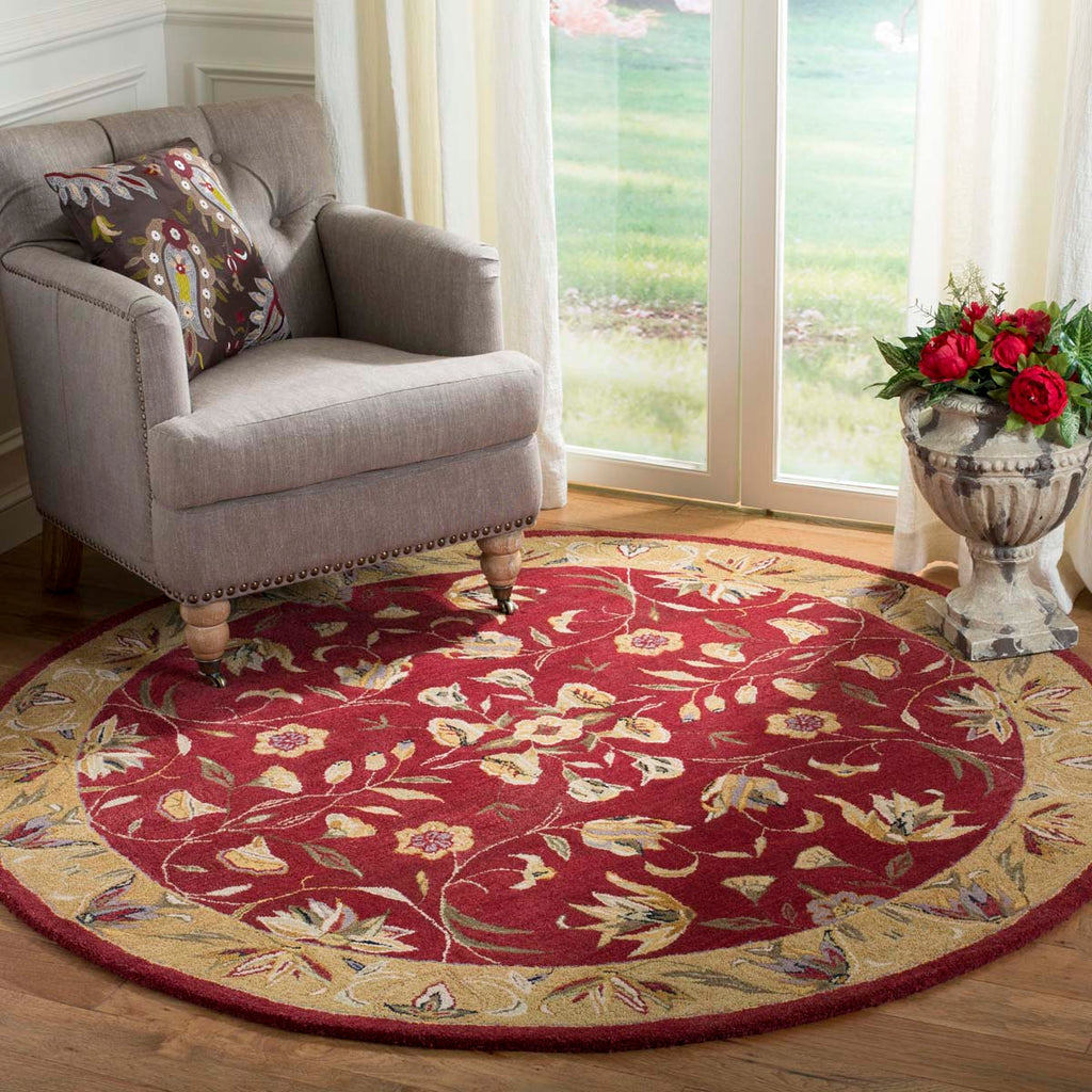 Safavieh Anatolia Rug Collection AN526A - Burgundy / Gold