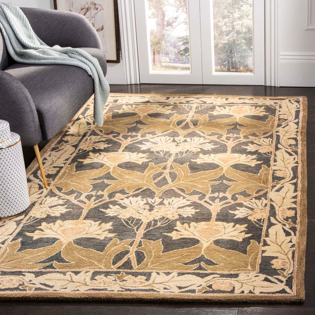 Safavieh Anatolia Rug Collection AN541A - Navy / Sage