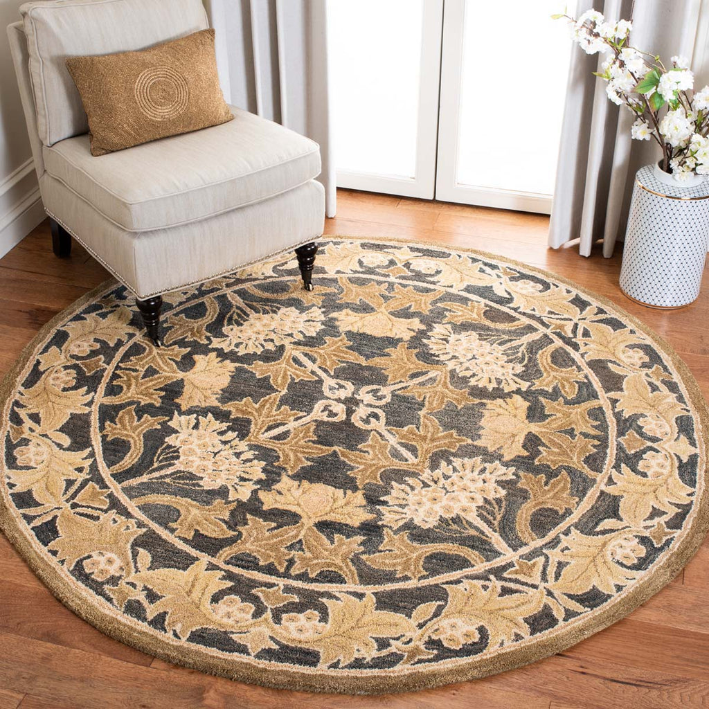 Safavieh Anatolia Rug Collection AN541A - Navy / Sage