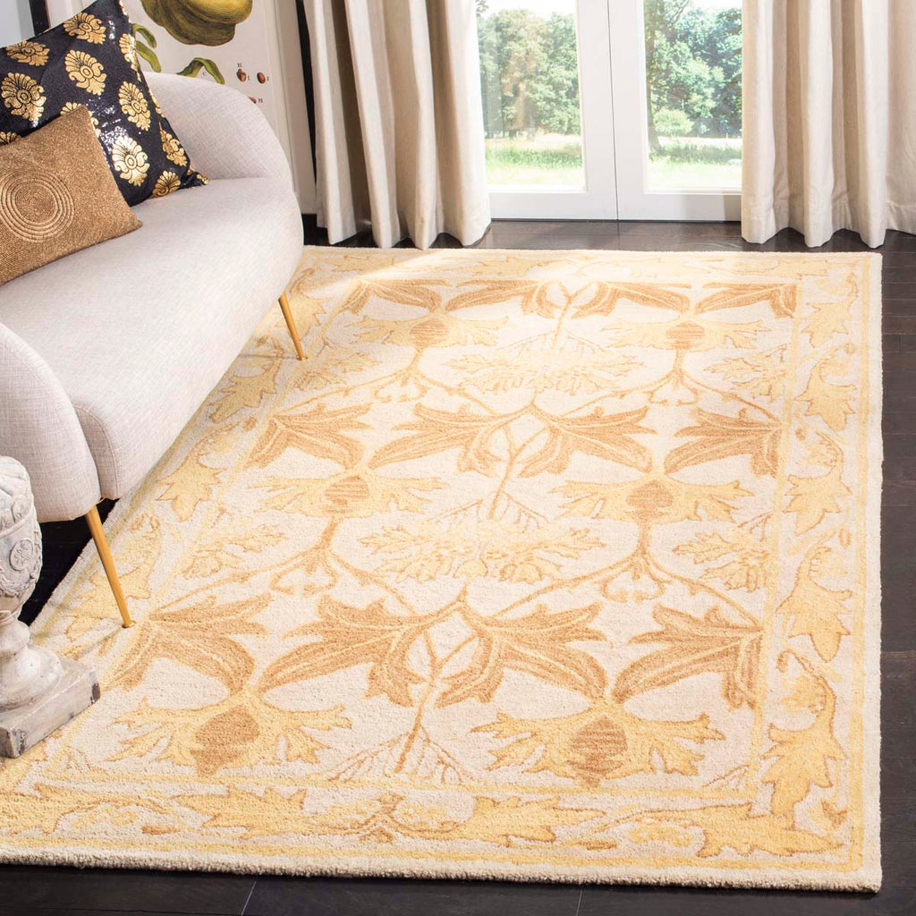 Safavieh Anatolia Rug Collection AN541B - Beige / Gold