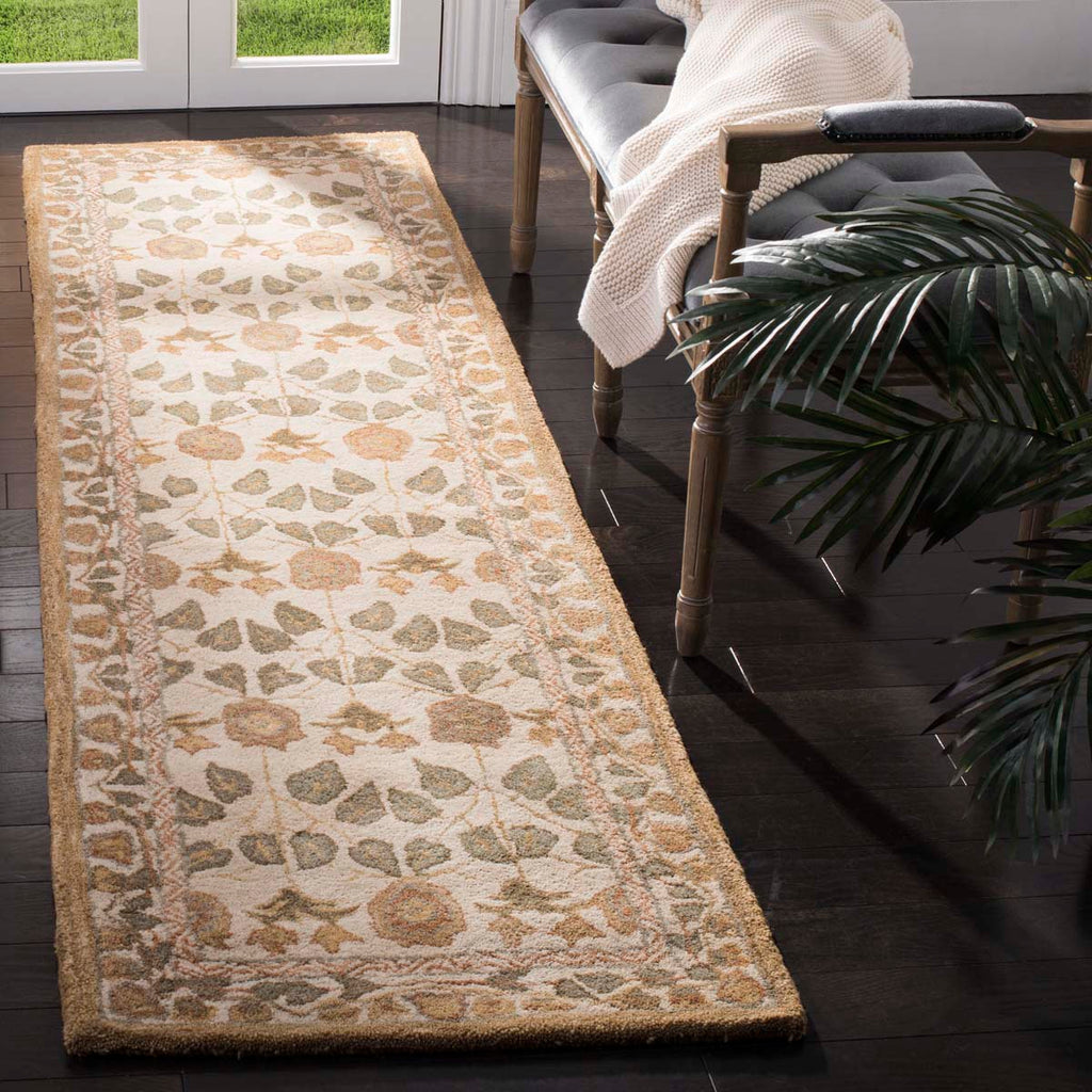 Safavieh Anatolia Rug Collection AN542A - Ivory