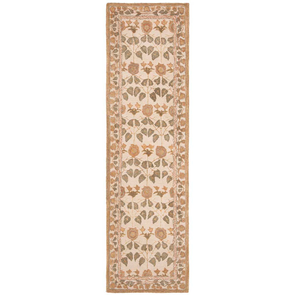 Safavieh Anatolia Rug Collection AN542A - Ivory