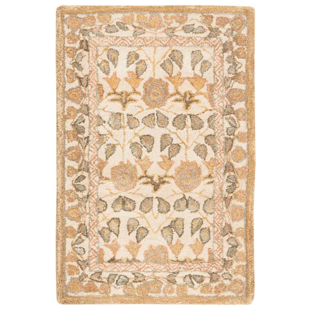 Safavieh Anatolia Rug Collection AN542A - Ivory