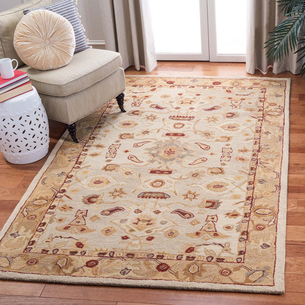 Safavieh Anatolia Rug Collection AN543C - Ivory / Gold