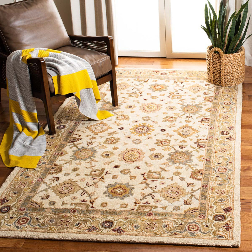 Safavieh Anatolia Rug Collection AN546B - Ivory / Gold