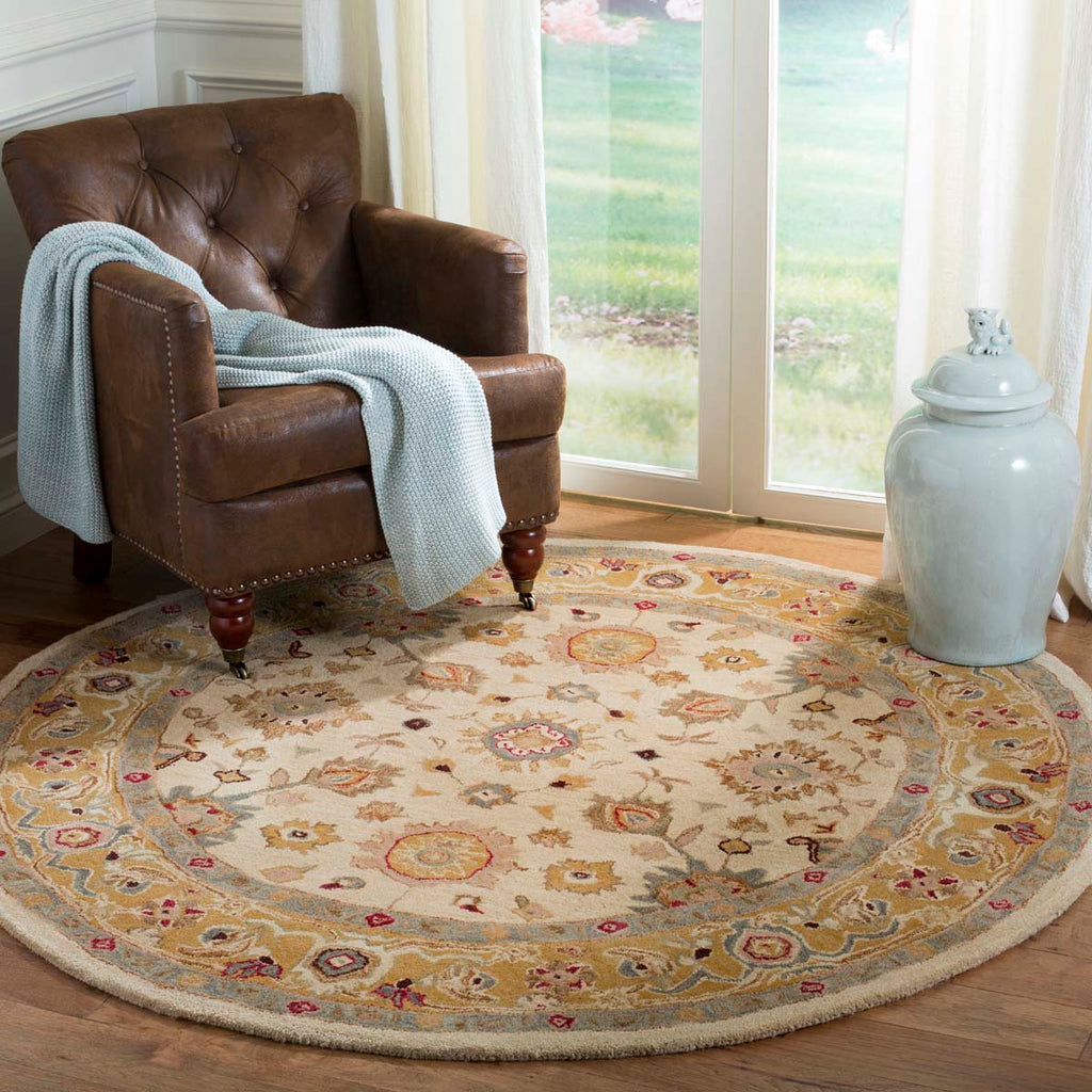 Safavieh Anatolia Rug Collection AN546B - Ivory / Gold