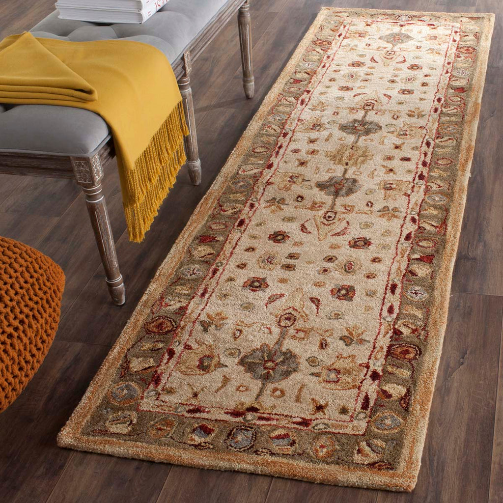 Safavieh Anatolia Rug Collection AN547B - Ivory