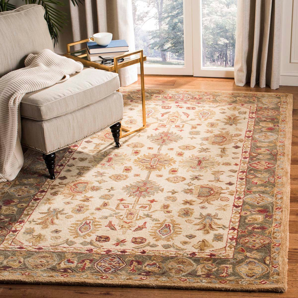 Safavieh Anatolia Rug Collection AN547B - Ivory