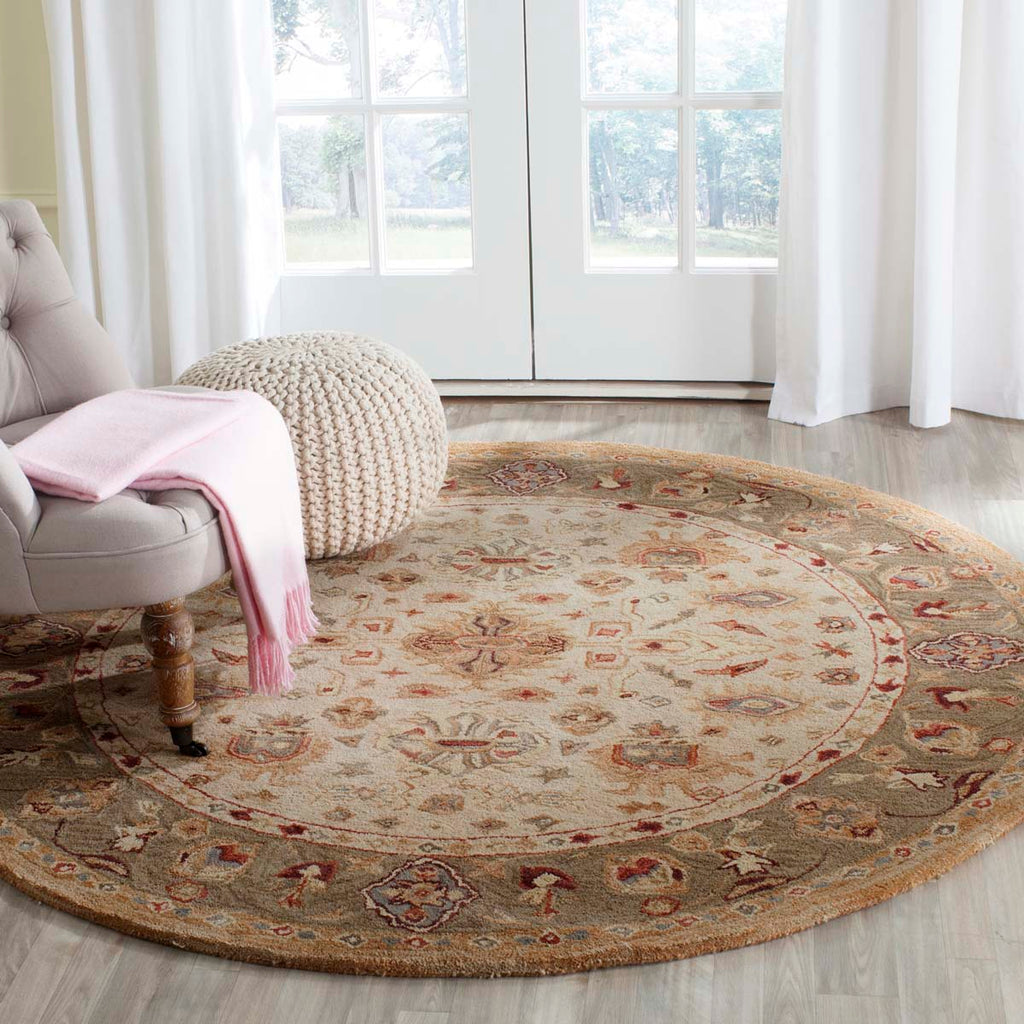 Safavieh Anatolia Rug Collection AN547B - Ivory