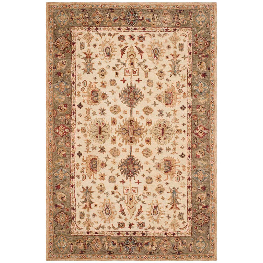 Safavieh Anatolia Rug Collection AN547B - Ivory