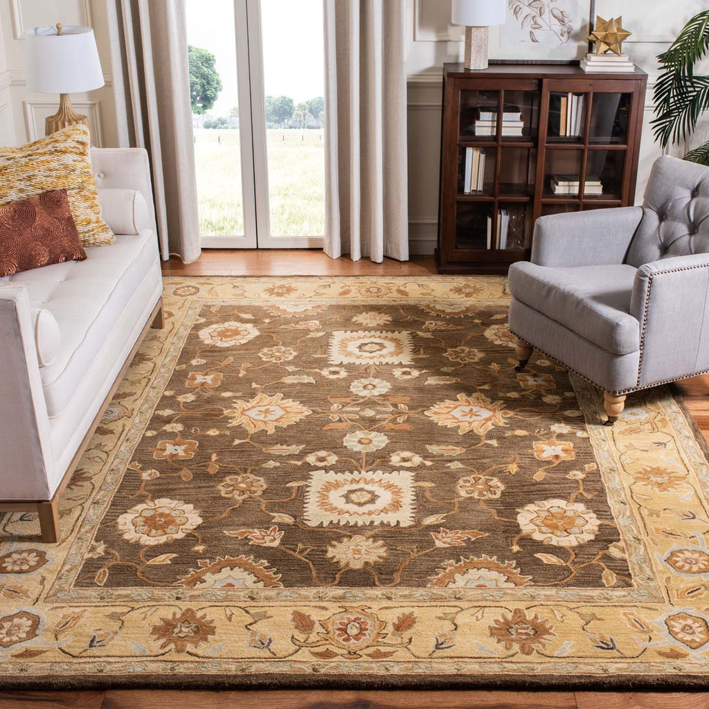 Safavieh Anatolia Rug Collection AN556C - Brown / Taupe