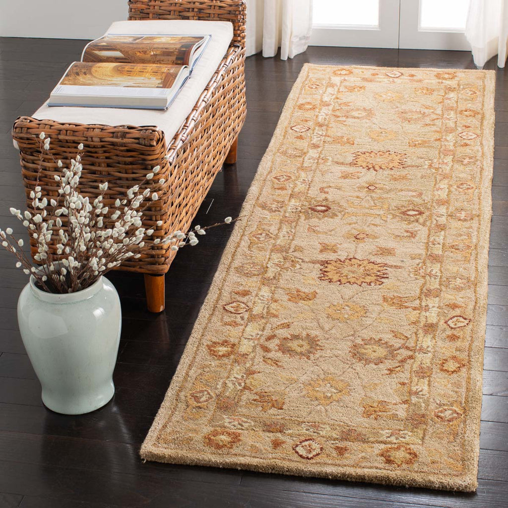 Safavieh Anatolia Rug Collection AN556K - Sage / Sage