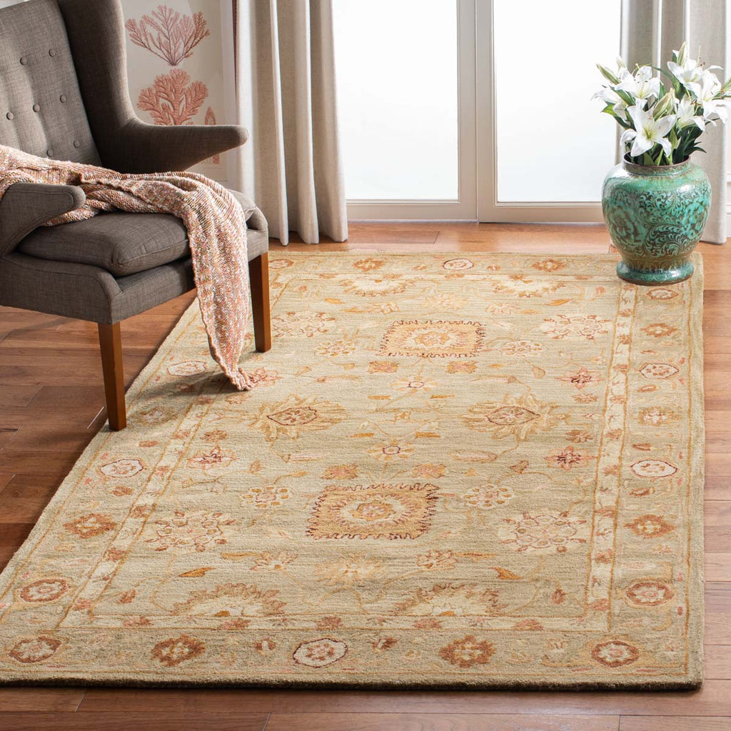 Safavieh Anatolia Rug Collection AN556K - Sage / Sage