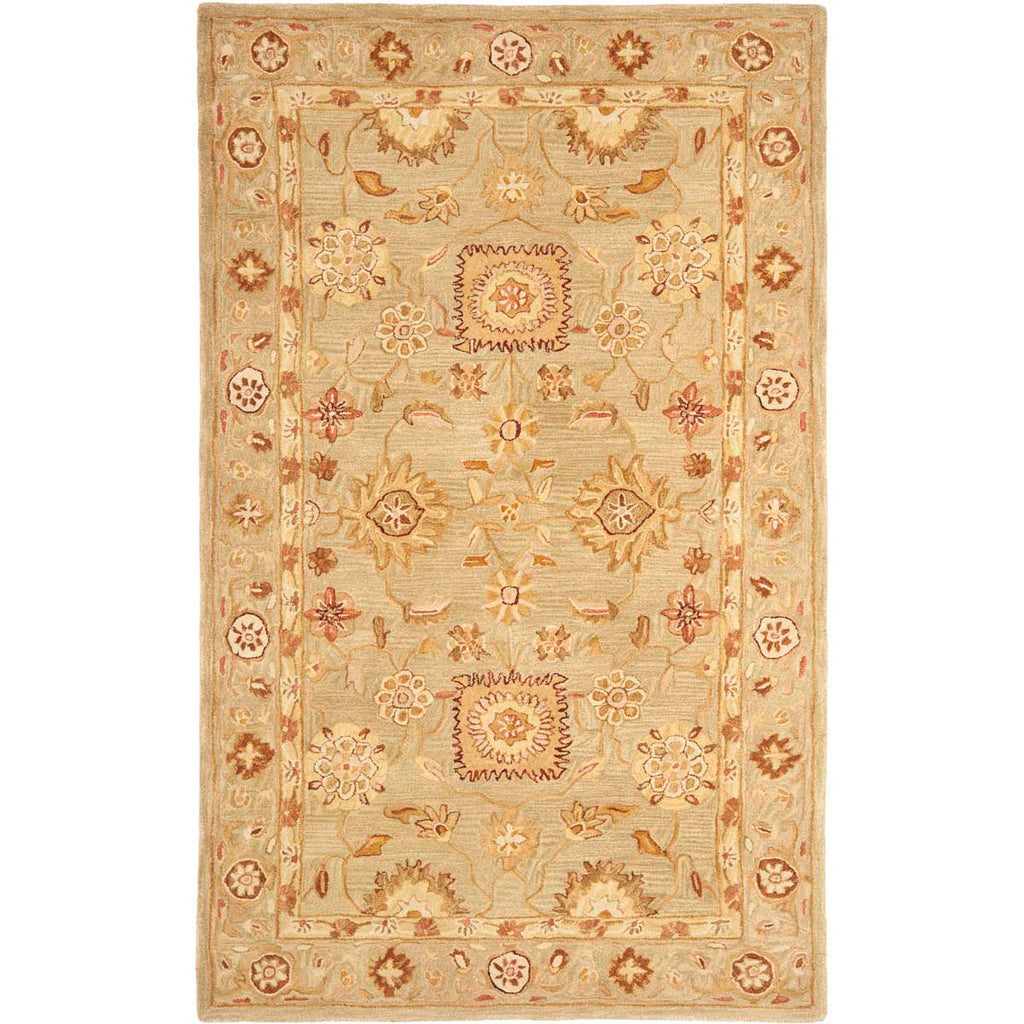 Safavieh Anatolia Rug Collection AN556K - Sage / Sage