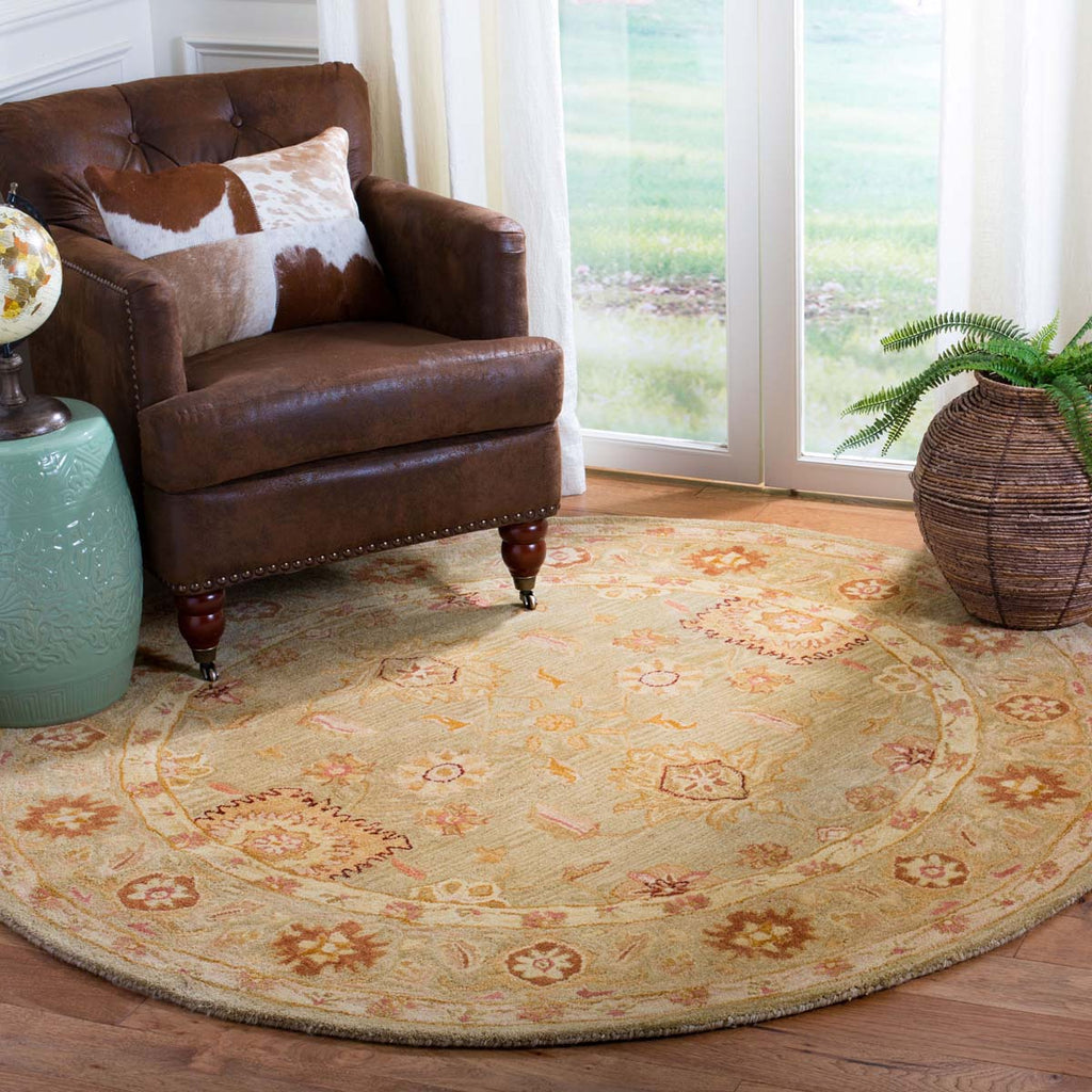 Safavieh Anatolia Rug Collection AN556K - Sage / Sage