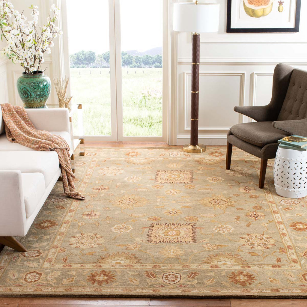 Safavieh Anatolia Rug Collection AN556K - Sage / Sage