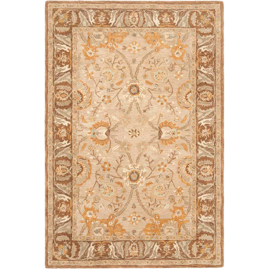 Safavieh Anatolia Rug Collection AN558A - Dark Grey / Brown