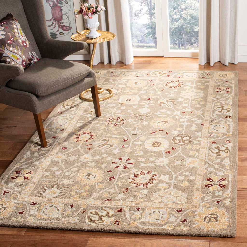 Safavieh Anatolia Rug Collection AN559A - Beige / Sage