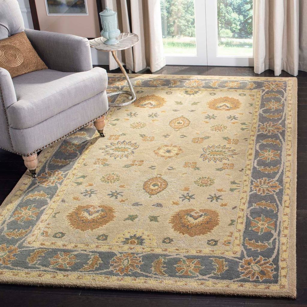 Safavieh Anatolia Rug Collection AN561A - Taupe / Grey