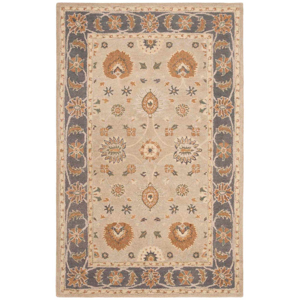 Safavieh Anatolia Rug Collection AN561A - Taupe / Grey