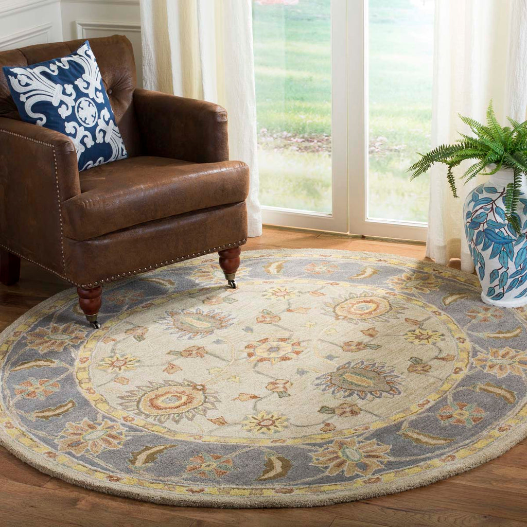 Safavieh Anatolia Rug Collection AN561A - Taupe / Grey