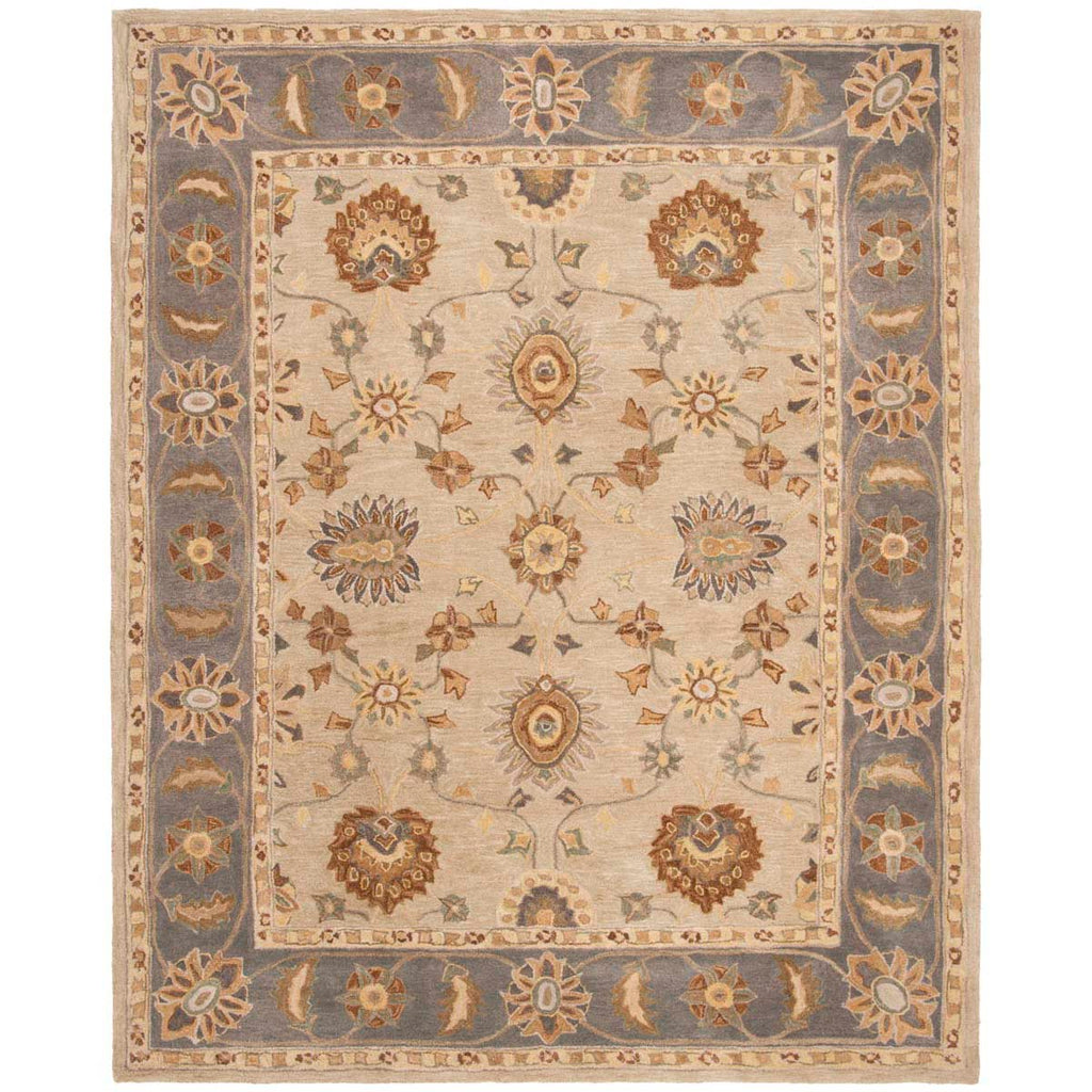 Safavieh Anatolia Rug Collection AN561A - Taupe / Grey